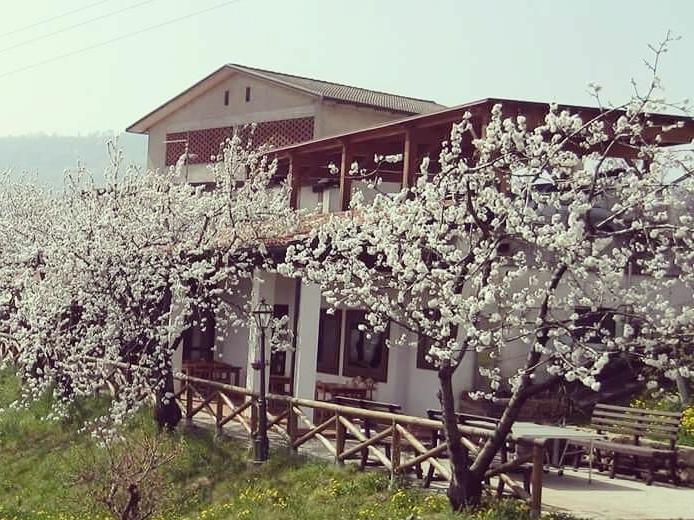 Vila Agriturismo Al Ciliegio Marostica Exteriér fotografie